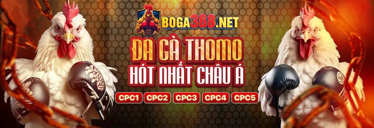 Hình ảnh minh họa các loại cookie thiết yếu và hiệu suất